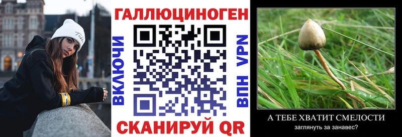 Псилоцибиновые грибы мицелий Никольское